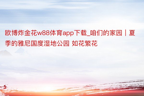 欧博炸金花w88体育app下载_咱们的家园｜夏季的雅尼国度湿地公园 如花繁花